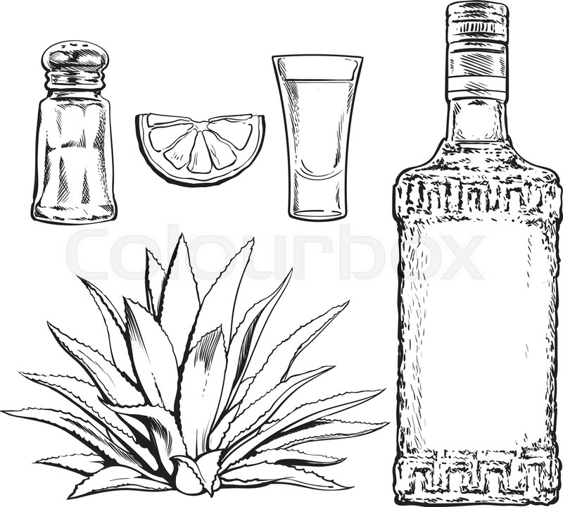 Set black and white of tequila bottle, | Stock vector | Colourbox