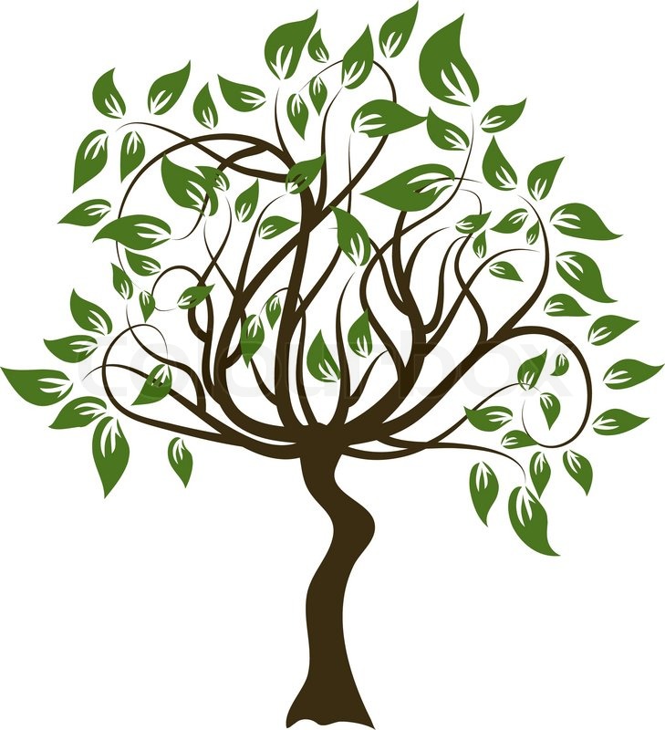 Clipart Kostenlos Baum