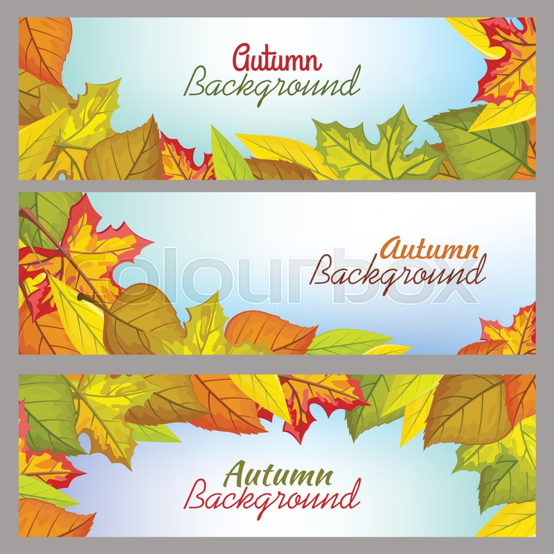 Set Of Autumn Background Banners Flat Stock Vector Colourbox