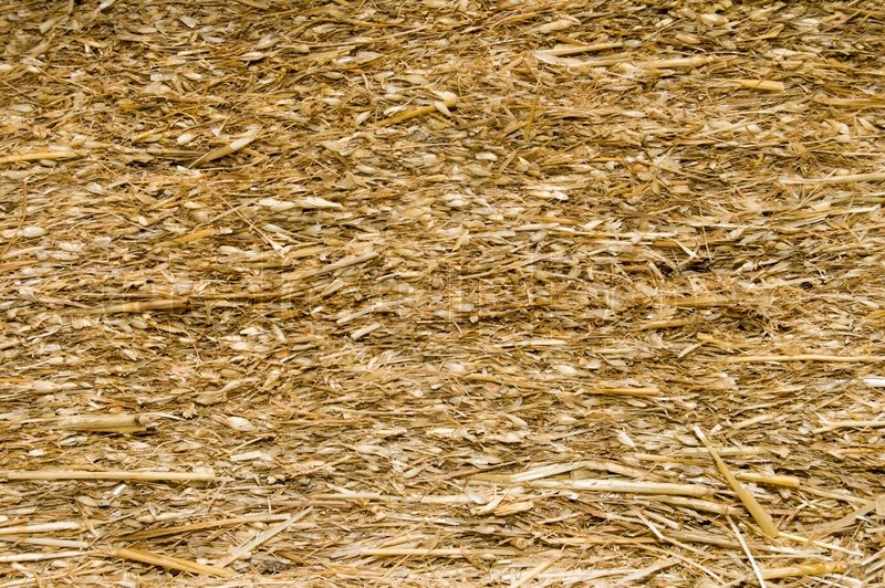 Image of pressed straw yellow color Stock image Colourbox