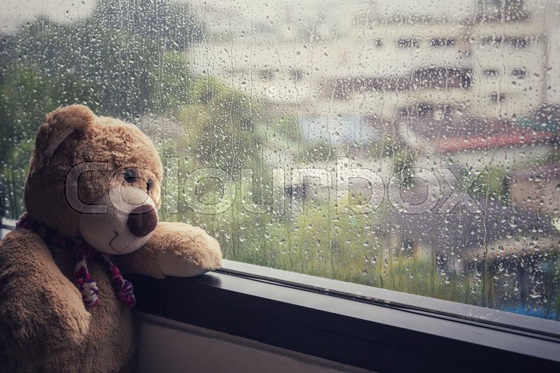 brown teddy bear sitting beside the window while raining stock