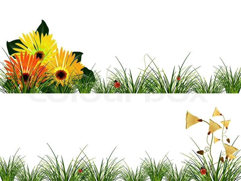 headers with flowers grass and stock photo colourbox floral headers