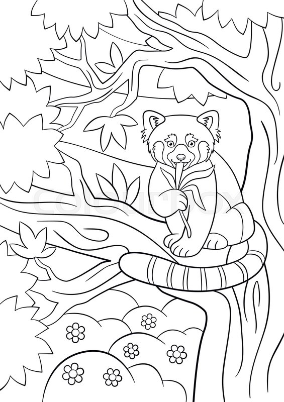 coloring pages little cute red panda sits on the tree branch and
