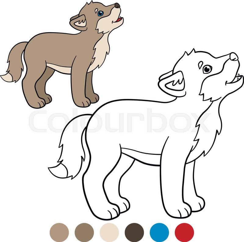 color me wolf little