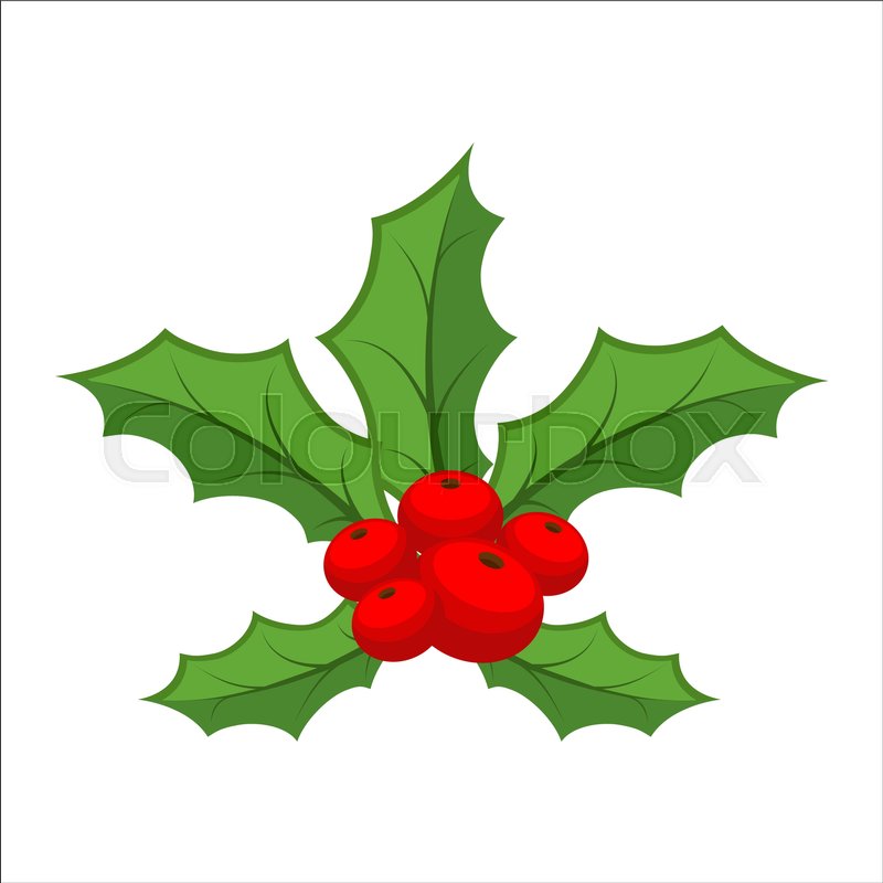 mistletoe isolated traditional christmas plant holiday red berry