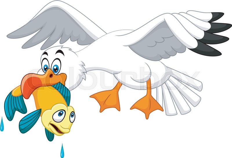 Illustration Of Cartoon Seagull Eating Stock Vector Colourbox