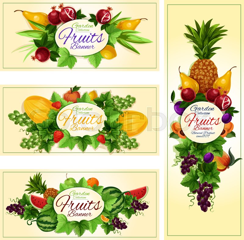 Fruit And Berry Cartoon Banner Set Stock Vector Colourbox