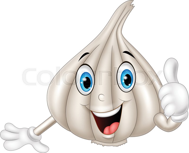 Vector Illustration Of Cartoon Garlic Stock Vector Colourbox