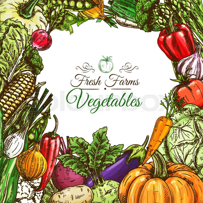 vegetables poster or vegetarian menu design template fresh farm