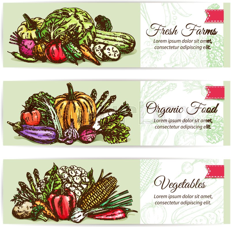 Fresh vegetables banner set. Organic | Stock vector | Colourbox