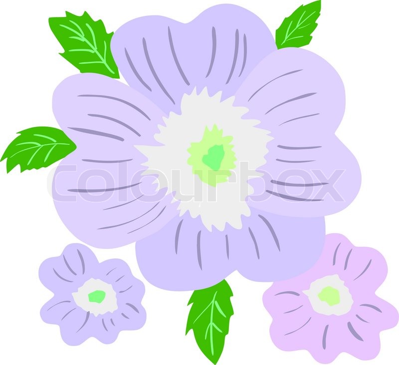 primrose stock vector colourbox primrose stock vector colourbox