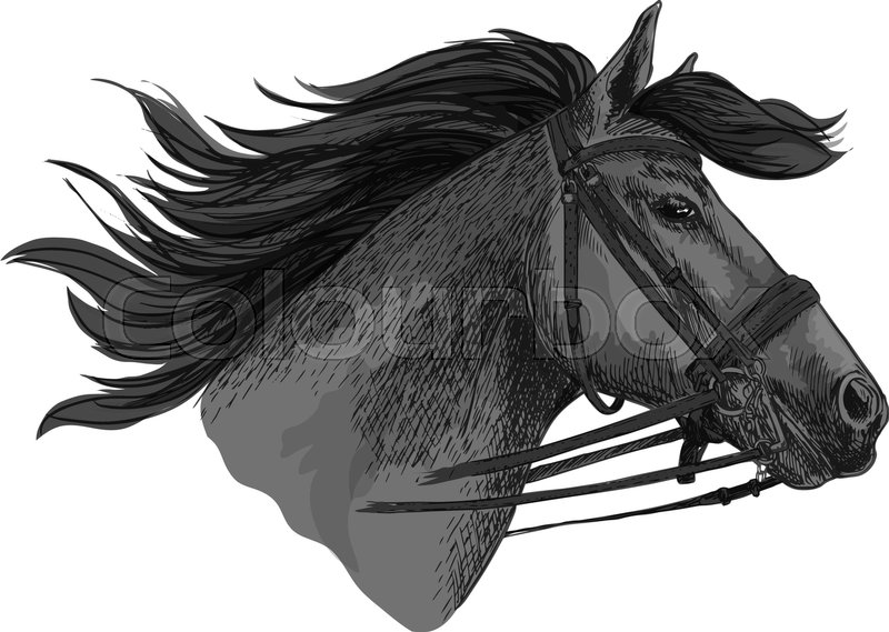 Horse in bridle running on races. Stock vector Colourbox