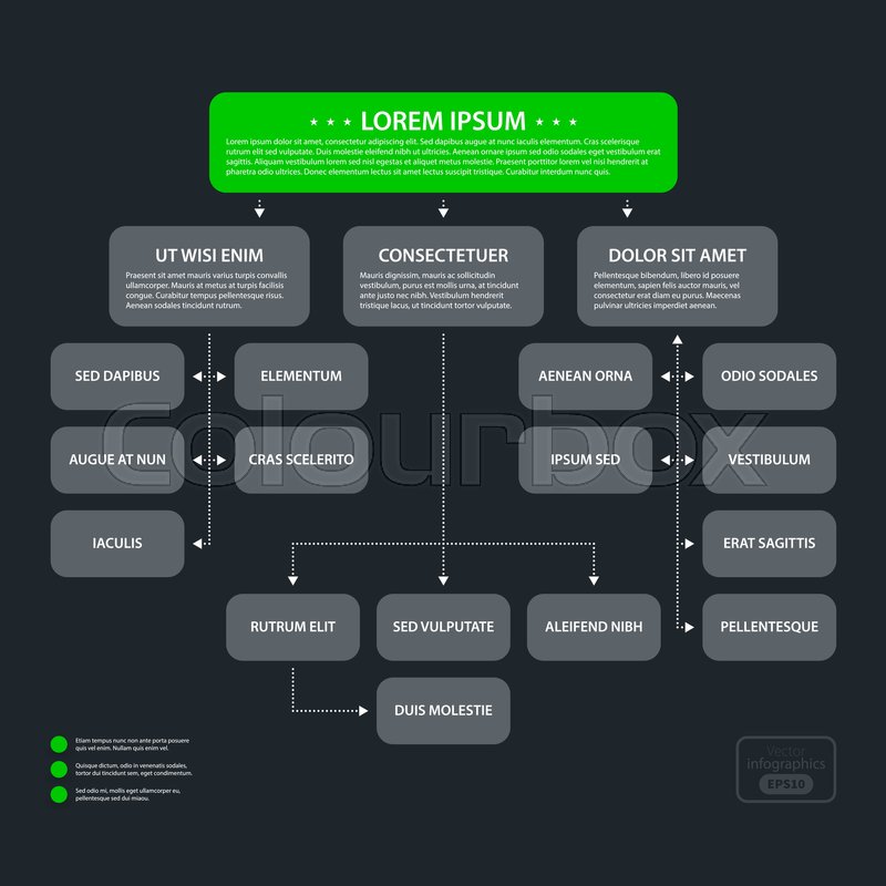 Modern Org Chart Design