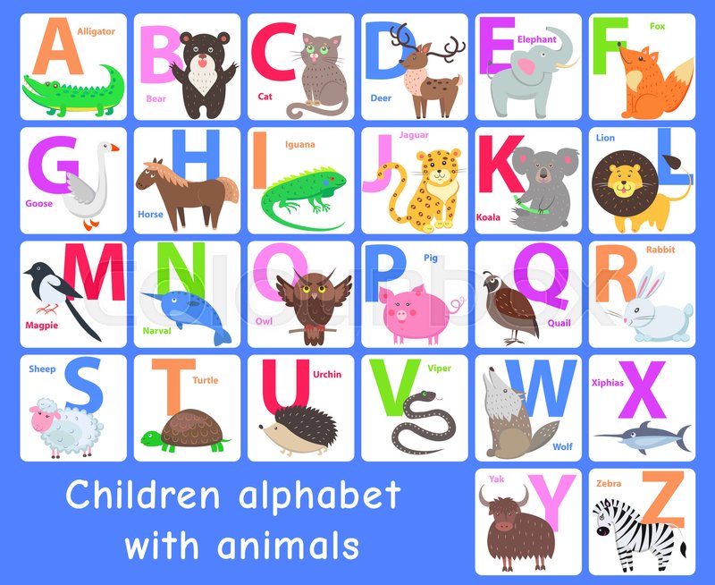 what animal name starts with the letter n