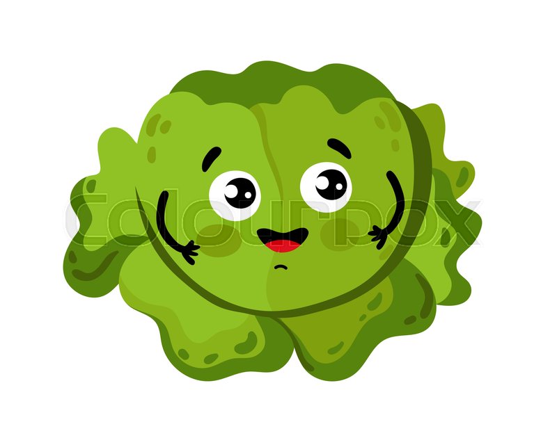 Cute Vegetable Cabbage Cartoon Stock Vector Colourbox