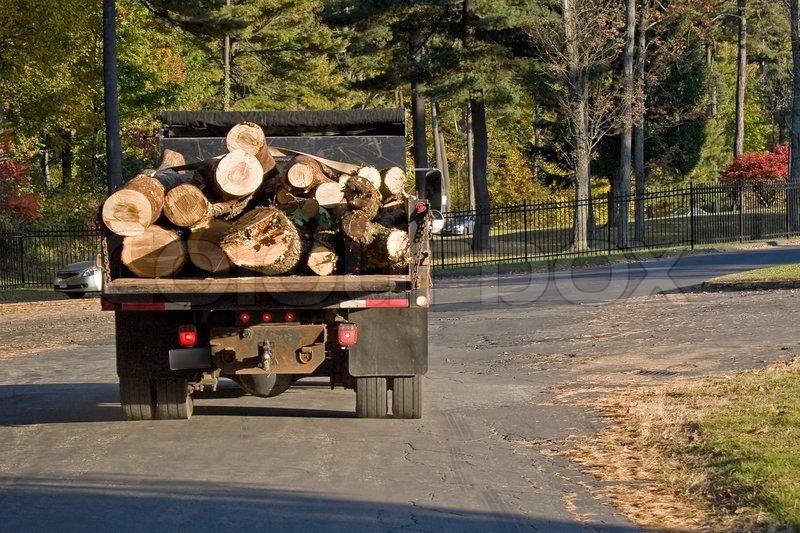 A dump truck carrying a large load of wood logs Stock Photo Colourbox