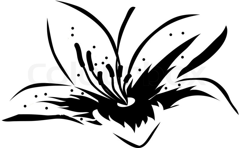 Big schwarz und weiße Lilie Blume Symbol | Vektorgrafik | Colourbox