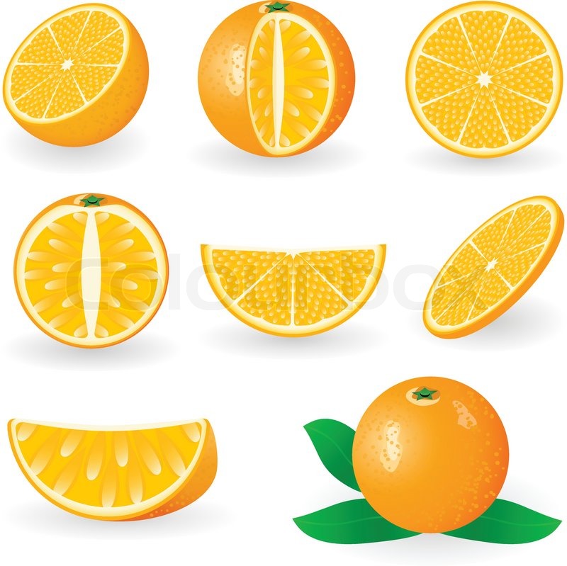 Vector Illustration Of Orange Fruit Stock Vector Colourbox