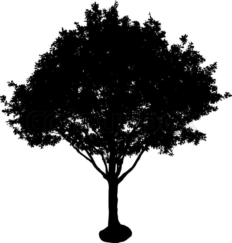 Silhouette isoliert Baum | Vektorgrafik | Colourbox