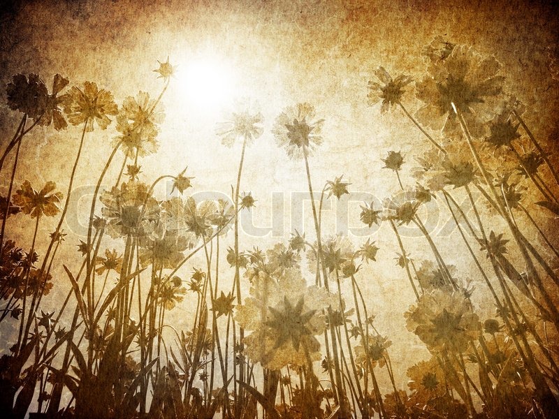 vintage background tirevi fontanacountryinn com vintage backgrounds