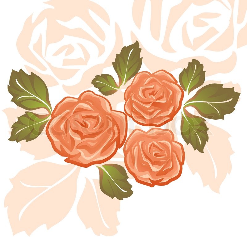 Orange Roses | Stock vektor | Colourbox