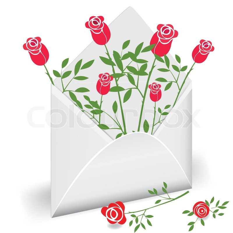 Open envelope with flower rose. Love Stock vector Colourbox
