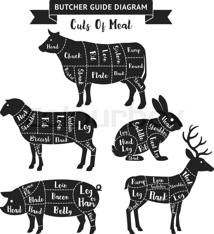 butcher guide cuts of meat diagram stock vector beef cuts chart beef cut, cuts of beef