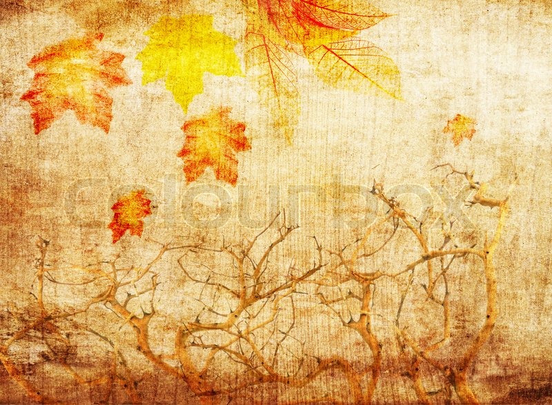 grunge abstract fall background with trees and colorful leaves