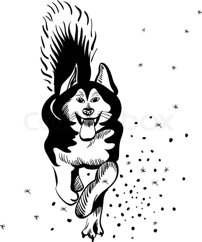 Download Black and white sketch of a sled dog ... | Stock vector ...
