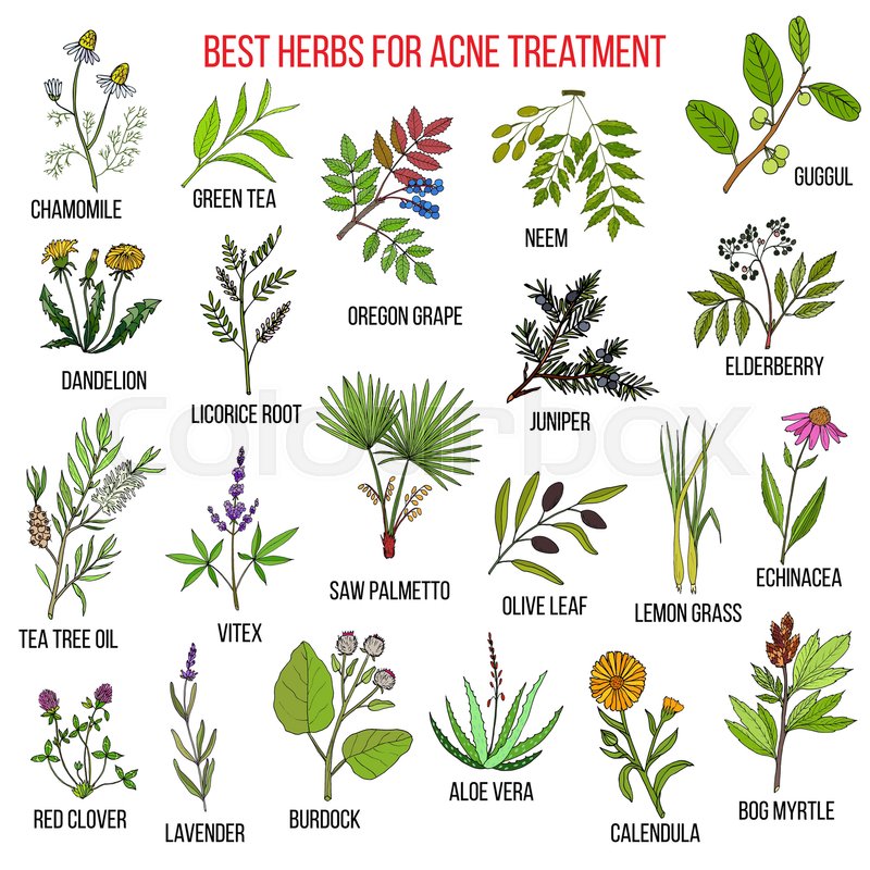 herbal acne treatment