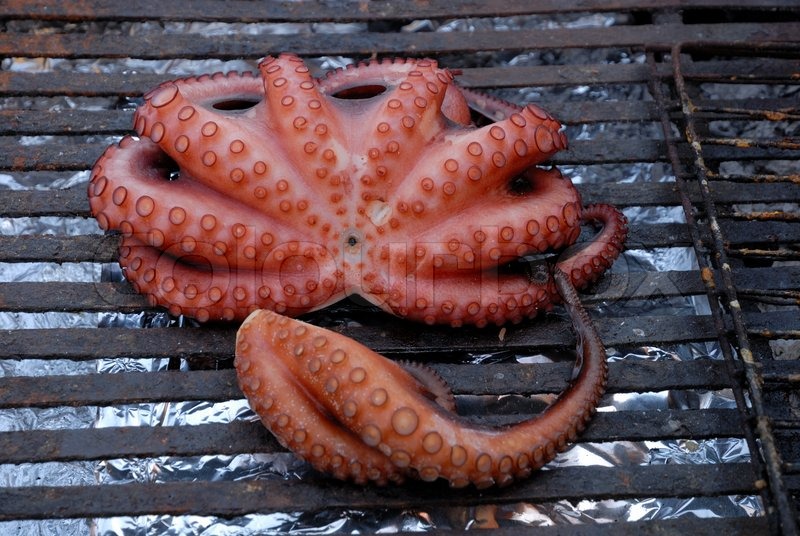 Octopus on the barbecue grill, ... | Stock image | Colourbox