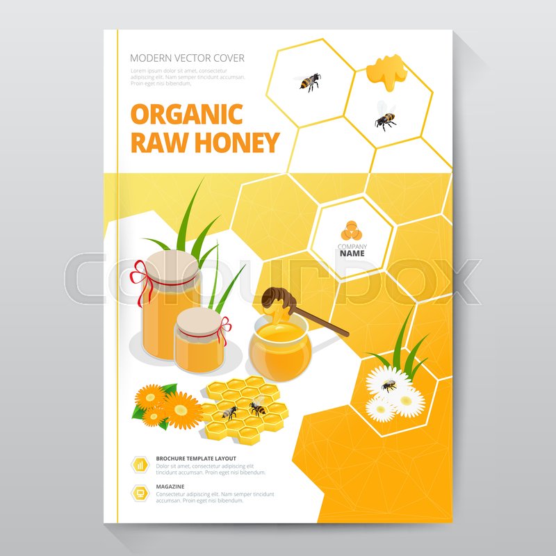 organic raw honey designe brochure stock vector colourbox abstract cover page design
