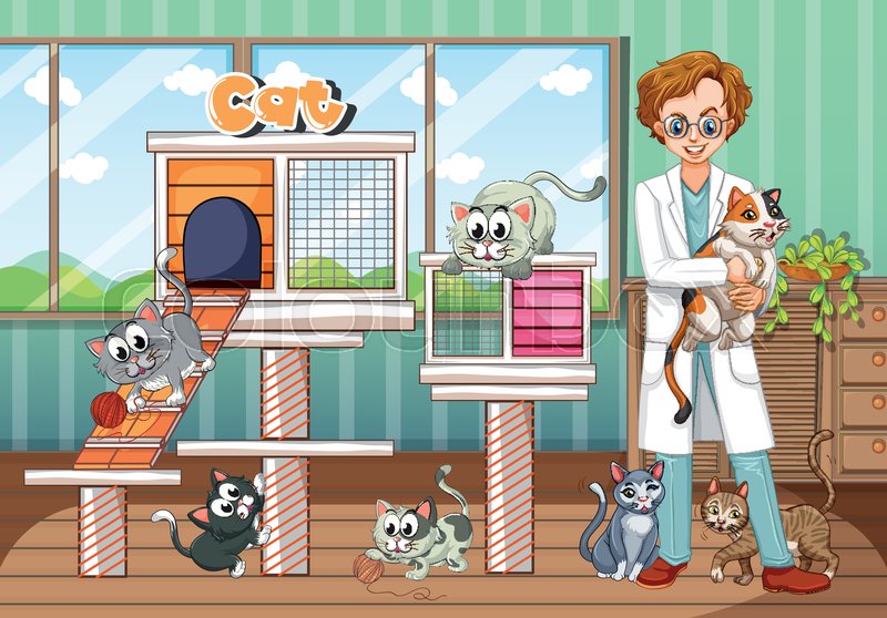 banyan animal hospital