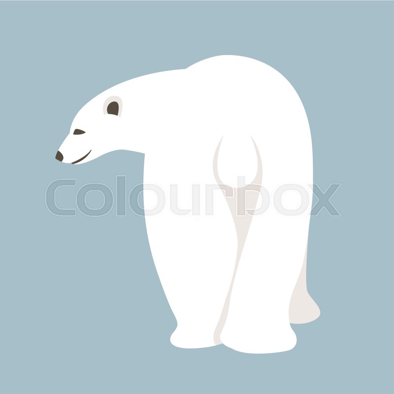 Bear polar vector illustration style | Stock vector | Colourbox