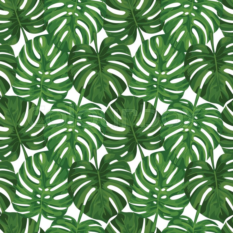 Seamless Pattern Of Tropical Green Monstera Leaves HD Wallpapers Download Free Map Images Wallpaper [wallpaper684.blogspot.com]