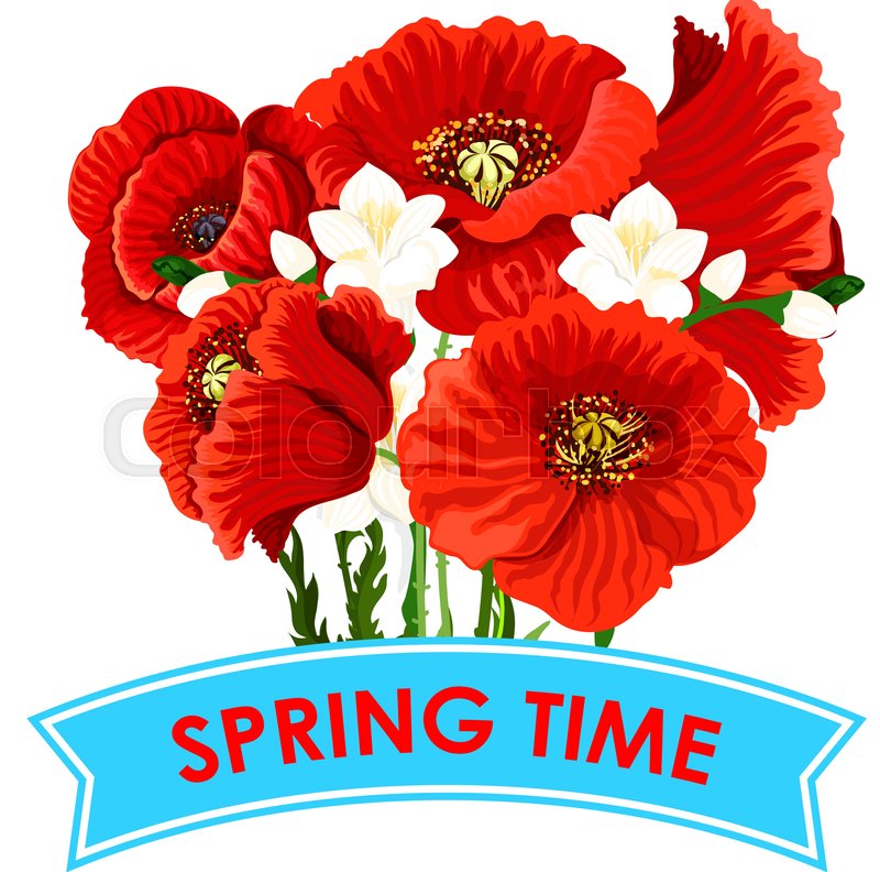 Spring Time quote with poppy flowers Stock vector Colourbox