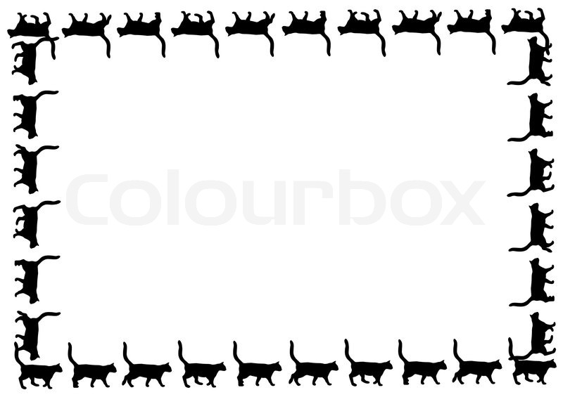 Frame with black cat walks on white background with place 
