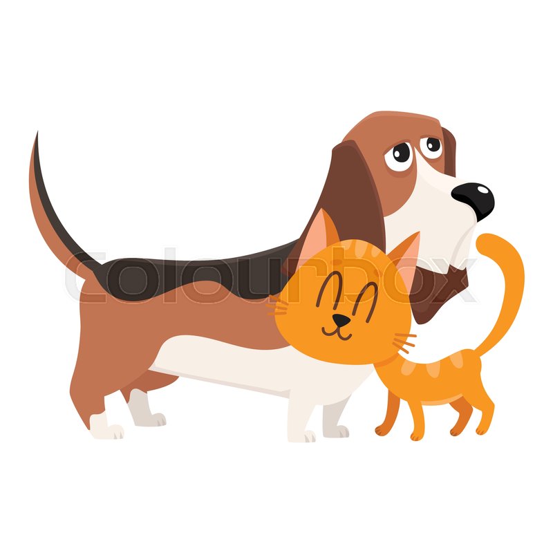 Basset hound dog and red cat, kitten Stock vector Colourbox