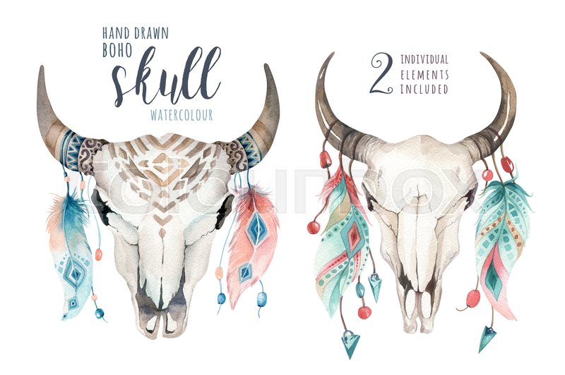 Watercolor Bohemian Cow Skull And Stock Image Colourbox