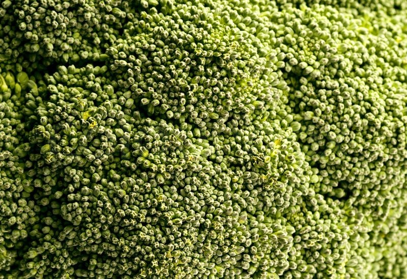 Background of a broccoli, close up Stock image Colourbox