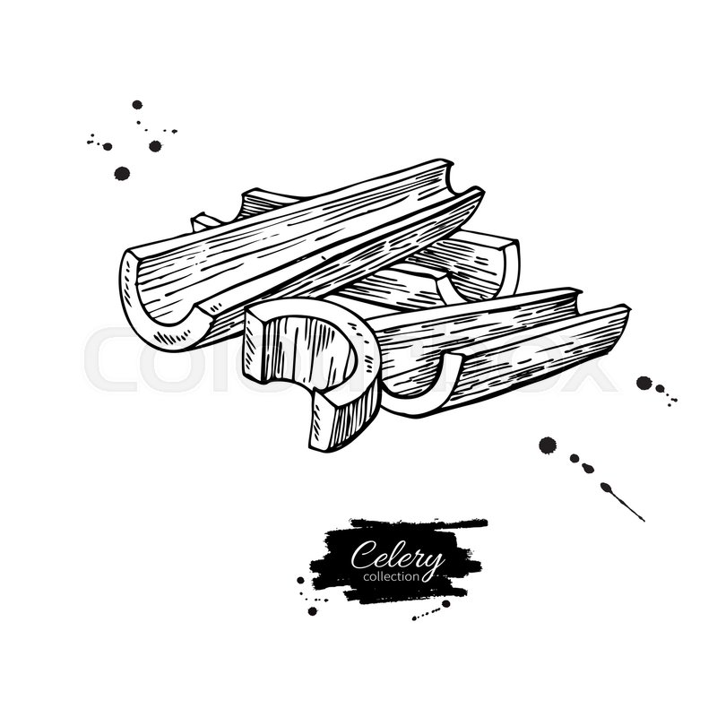 Featured image of post Celery Stick Drawing