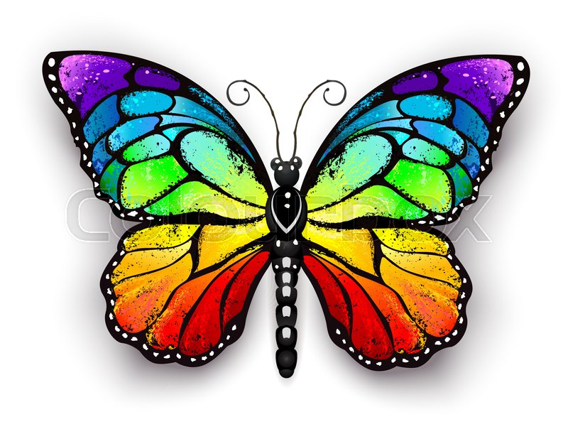 realistic monarch butterfly in all the colors of the realistic monarch butterfly in all the colors of the