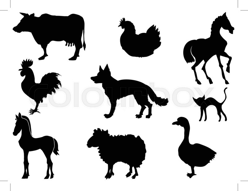 Set of silhouettes of domestic animals | Stock vector | Colourbox