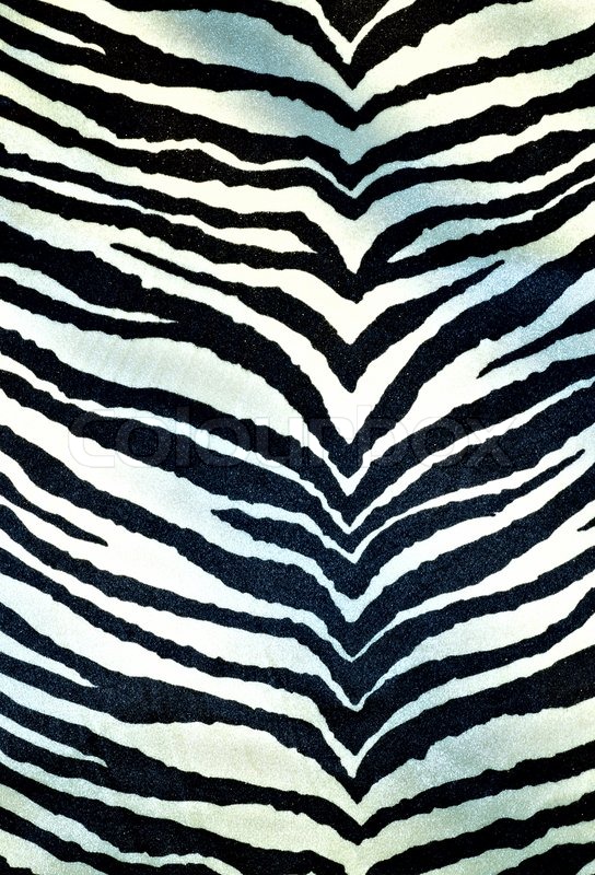 Details of zebra as a fur background | Stock image | Colourbox