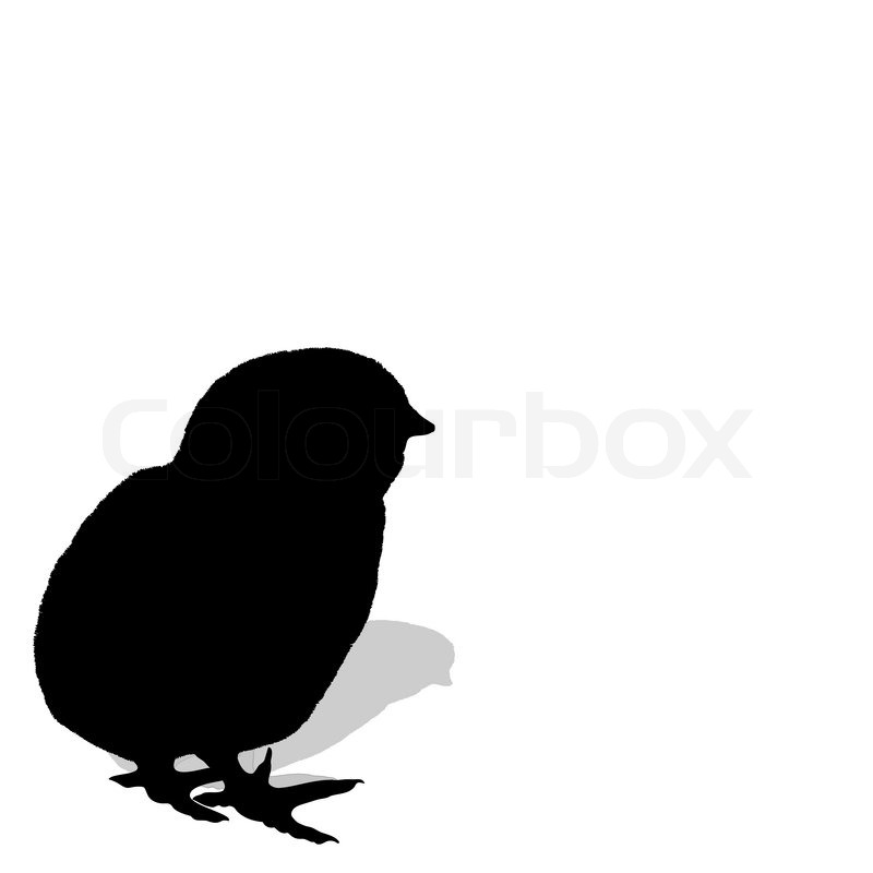 vector illustration of a chicken silhouette newborn chick with eggs shell stock vector colourbox