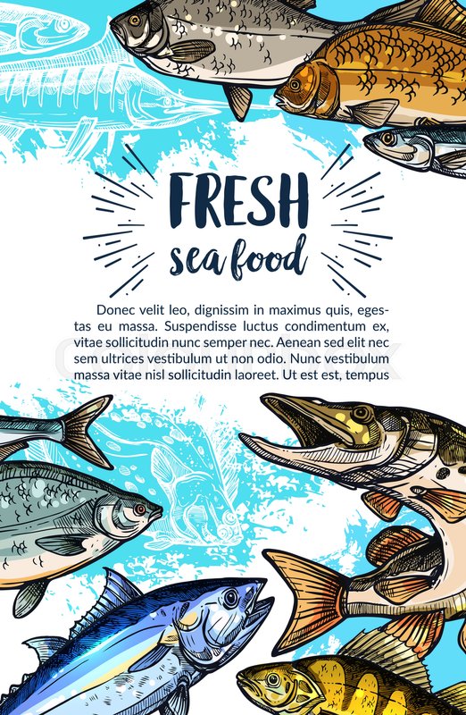 Seafood And Freshwater Fish Banner Stock Vector Colourbox