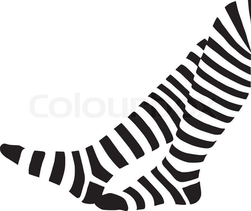 socks vector vector socks leg vector colourbox socks vector vector socks leg vector colourbox