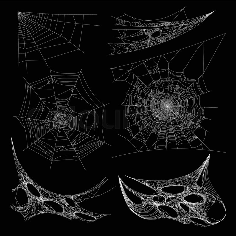 How To Draw A Spider Web Draw a realistic 3d spider by Elyarr The