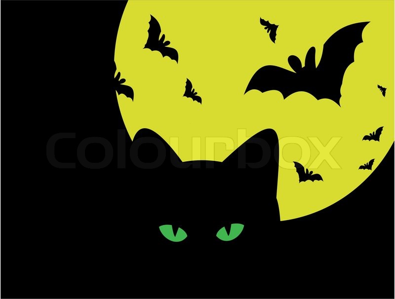 halloween silhouette of cat against the moon and bats stock vector colourbox