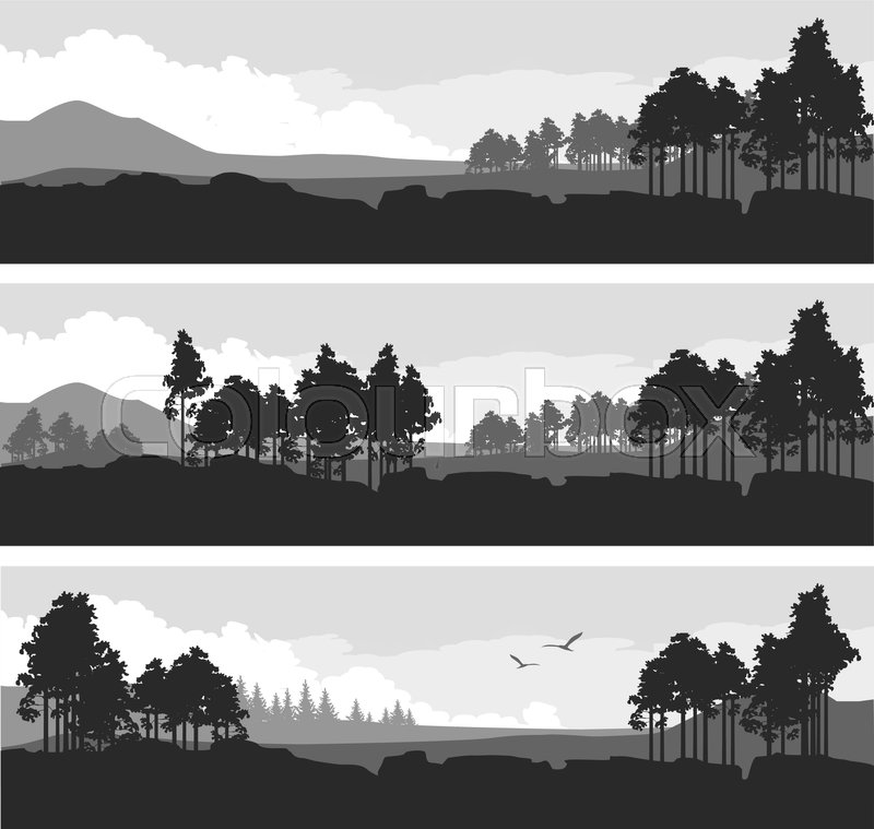Vector Illustration Set Of Horizontal Stock Vector Colourbox